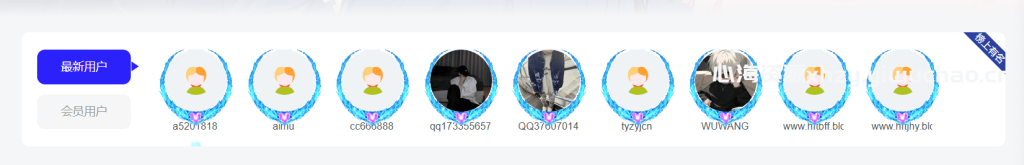 图片[2]-【心海资源】子比主题前端展示注册用户与会员信息的功能模块与代码教程